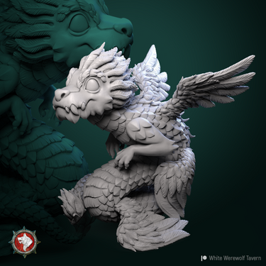 Pygmy Celestial Dragon